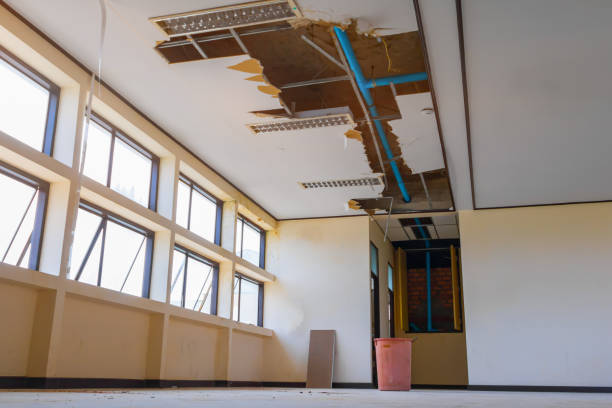 Trusted Lily Lake, IL Water damage restoration Experts