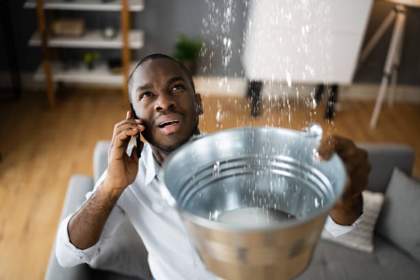 Best Water damage restoration insurance claims  in Ly Lake, IL