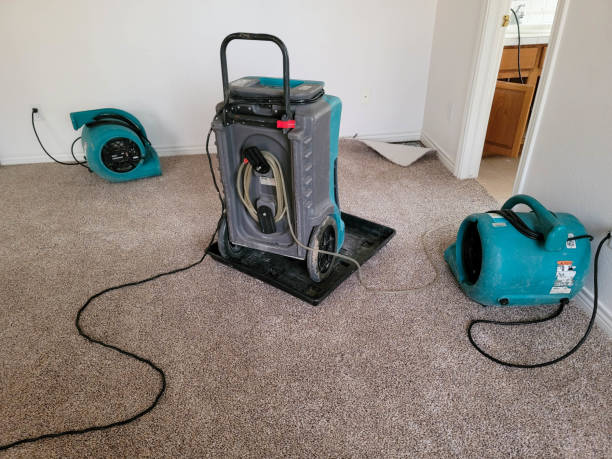 Water damage restoration process in Lily Lake, IL