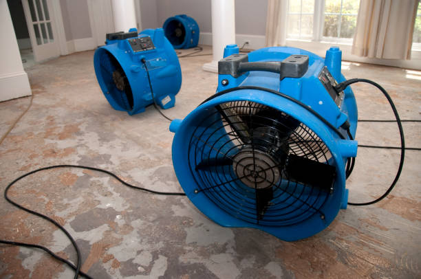 Best Water damage restoration process  in Ly Lake, IL