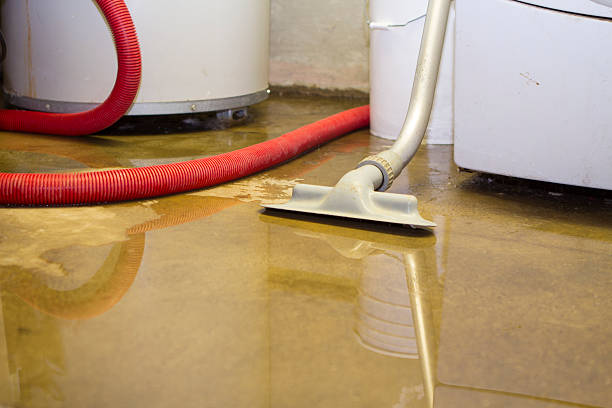 Best Local water damage restoration  in Ly Lake, IL