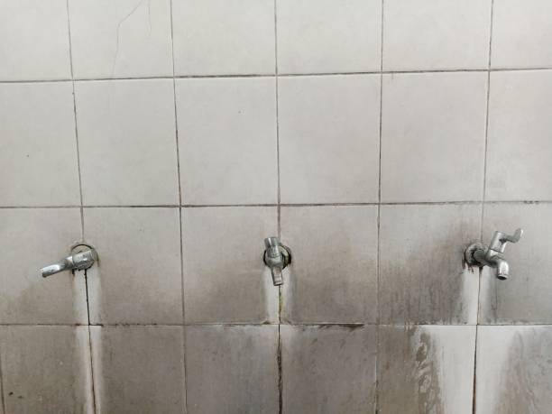 Sewage cleanup and water damage restoration in Lily Lake, IL