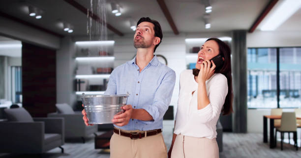 Best Water damage restoration near me  in Ly Lake, IL